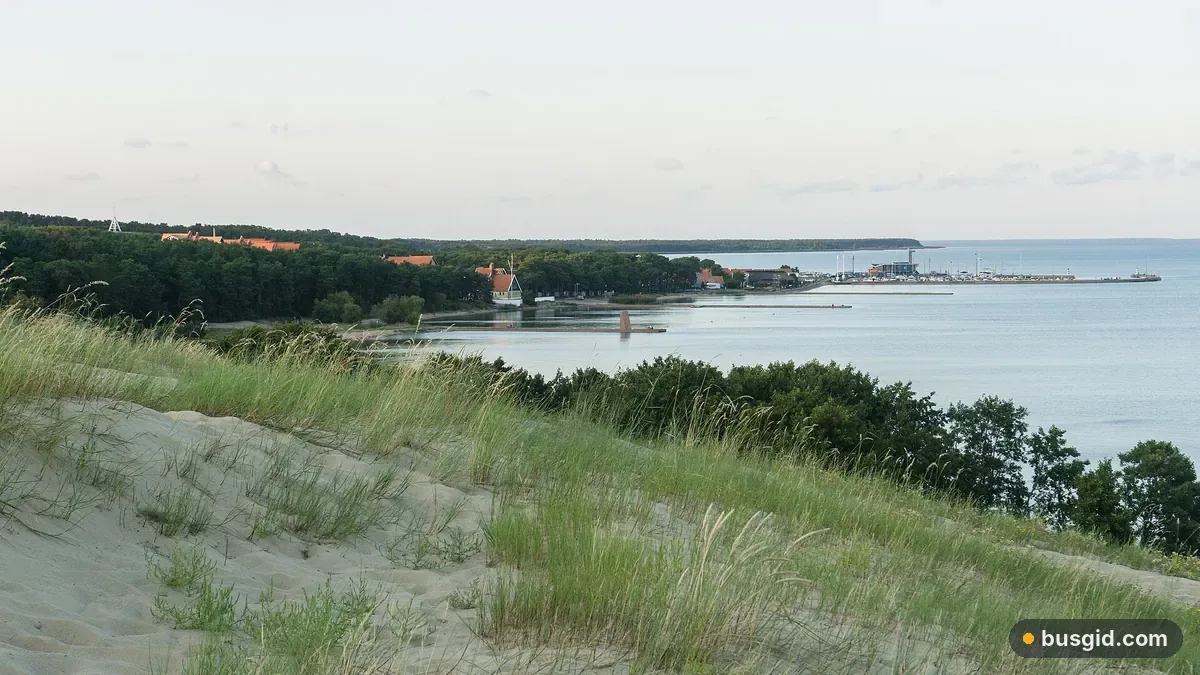 Піщані дюни Куршської коси з травою, за ними сосновий ліс, Куршська затока та містечко Нида на березі