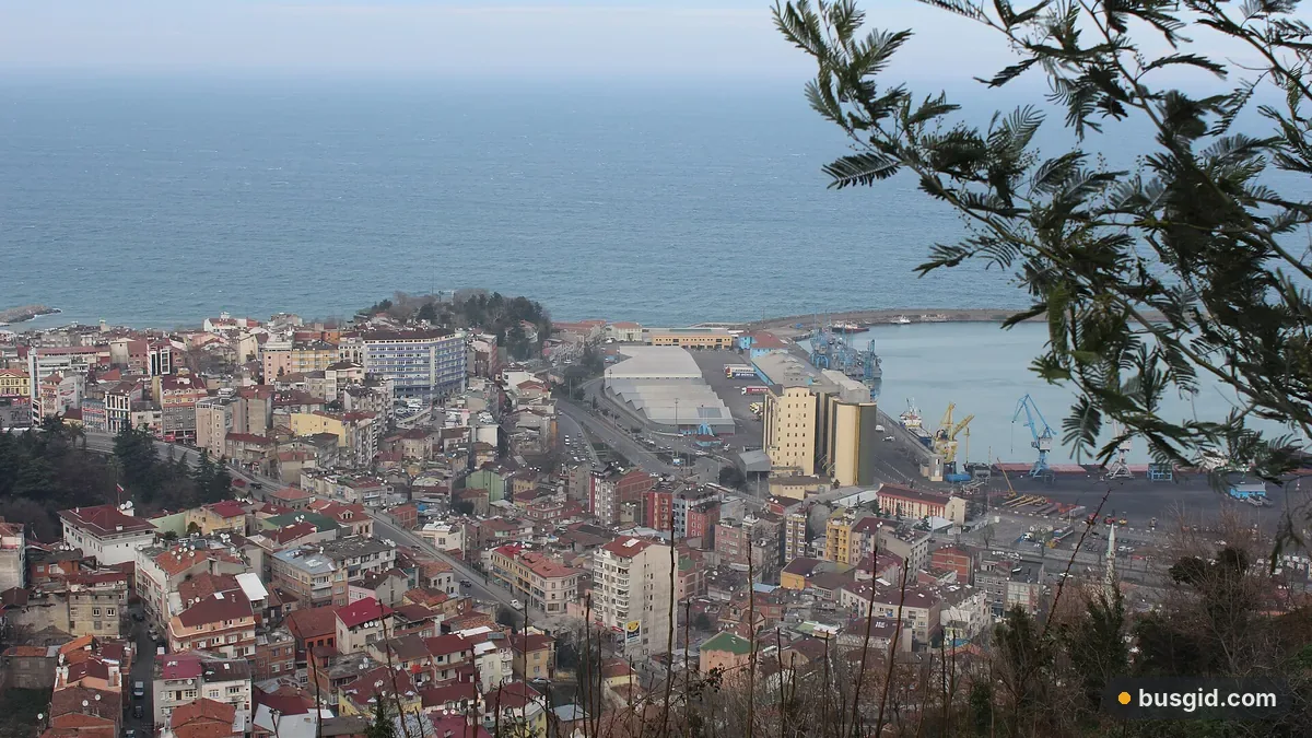Панорама Трабзона с холма Бозтепе: плотные кварталы с красными крышами, морской порт и Чёрное море